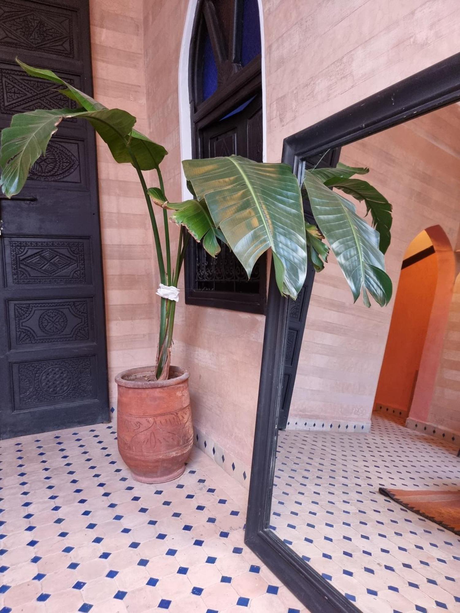 Riad Black Doors มาร์ราเกช ภายนอก รูปภาพ
