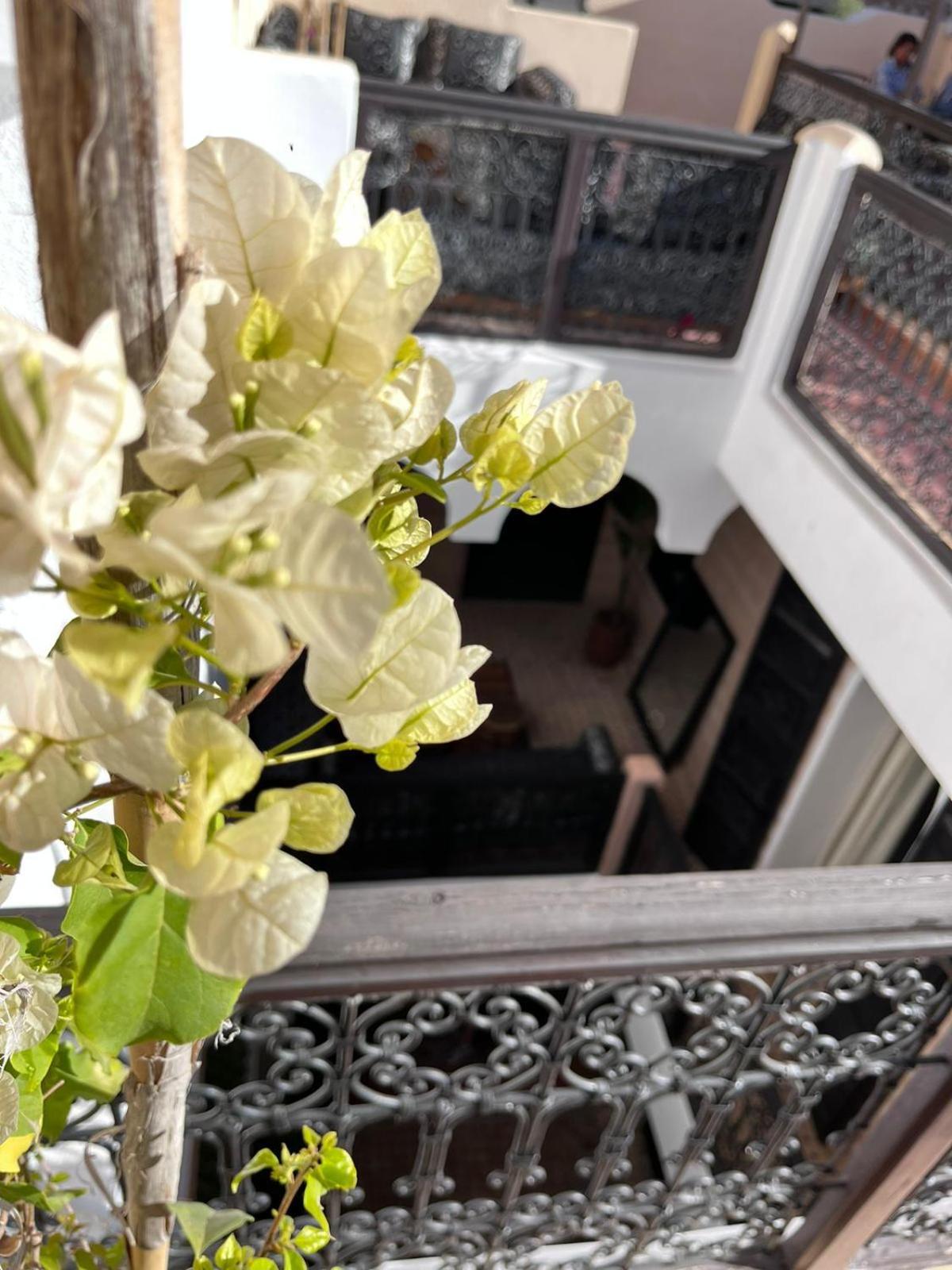 Riad Black Doors มาร์ราเกช ภายนอก รูปภาพ